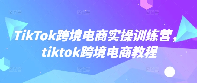 TikTok跨境电商实操训练营，tiktok跨境电商教程-创业项目网