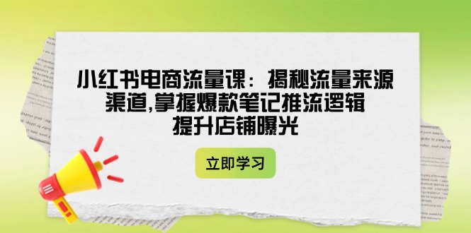 小红书电商流量课：揭秘流量来源渠道,掌握爆款笔记推流逻辑,提升店铺曝光-创业项目网