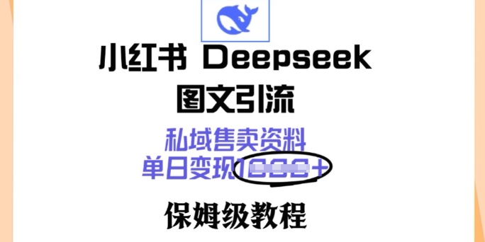 小红书DeepSeek图文引流，私域售卖资料，单日变现多张，保姆级教程-创业项目网