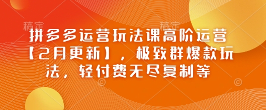 拼多多运营玩法课高阶运营【2月更新】，极致群爆款玩法，轻付费无尽复制等-创业项目网