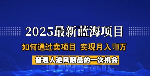 2025蓝海项目，普通人如何通过卖项目，实现月入过W，全过程-创业项目网