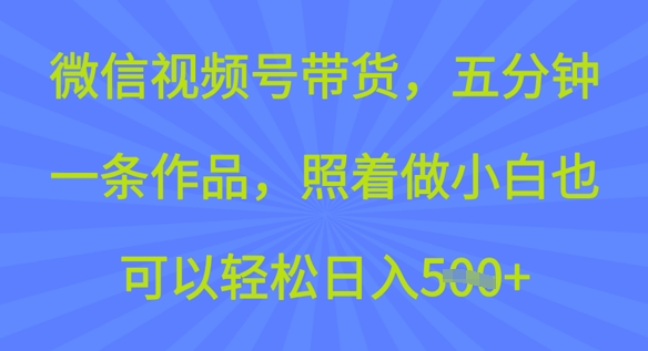 微信视频号带货，五分钟一条作品，照着做小白也可以轻松日入500+-创业项目网