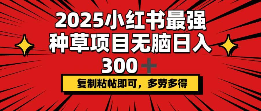 2025小红书最强种草项目，无脑日入300+，复制粘帖即可，多劳多得-创业项目网