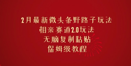 2月最新微头条野路子玩法，相亲赛道2.0玩法，无脑复制粘贴，保姆级教程-创业项目网