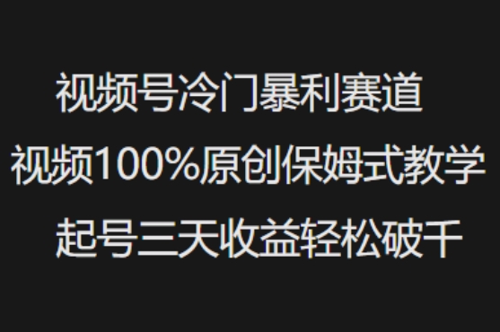 视频号冷门暴利赛道视频100%原创保姆式教学起号三天收益轻松破千-创业项目网