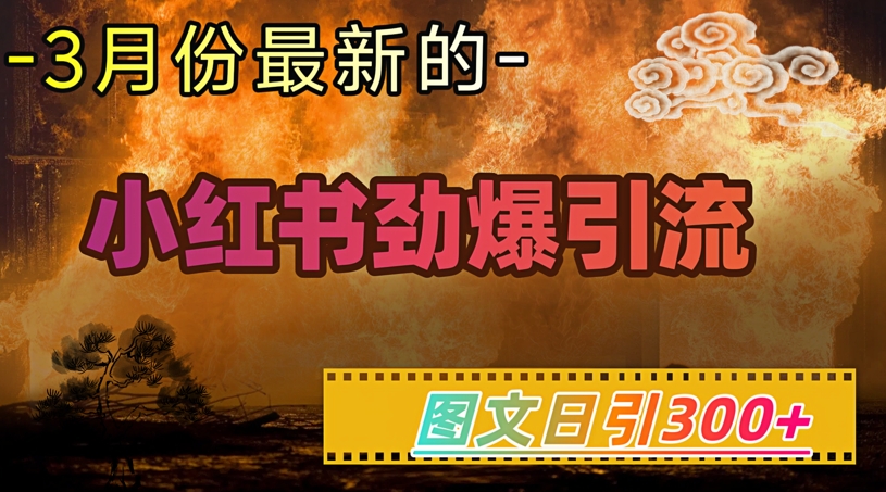 小红书超劲爆引流手段，图文日引300+轻松变现1W-创业项目网