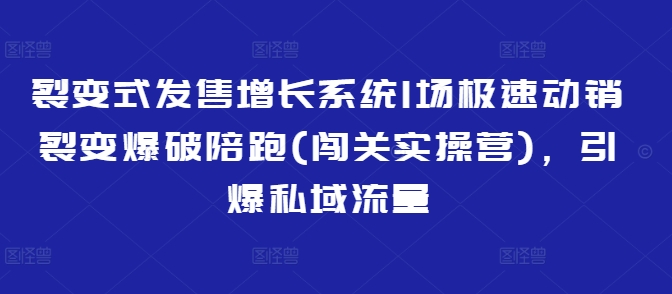 裂变式发售增长系统1场极速动销裂变爆破陪跑(闯关实操营)，引爆私域流量-创业项目网