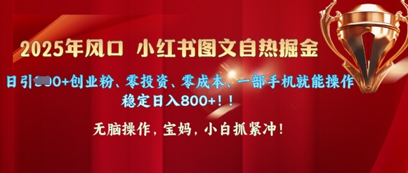 2025年风口小红书图文掘金，日引300+创业粉、零投资、零成本、一部手机就能操作-创业项目网