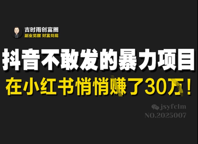 抖音不敢发的暴利项目，在小红书悄悄挣了30W-创业项目网