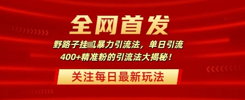 全网首发，野路子暴力引流法，单日引流400+精准粉的引流法大揭秘-创业项目网