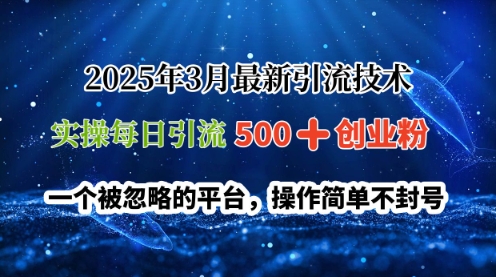 2025年3月最新引流技术，实操每日引流500+创业粉，一个被忽略的平台，操作简单不封号-创业项目网